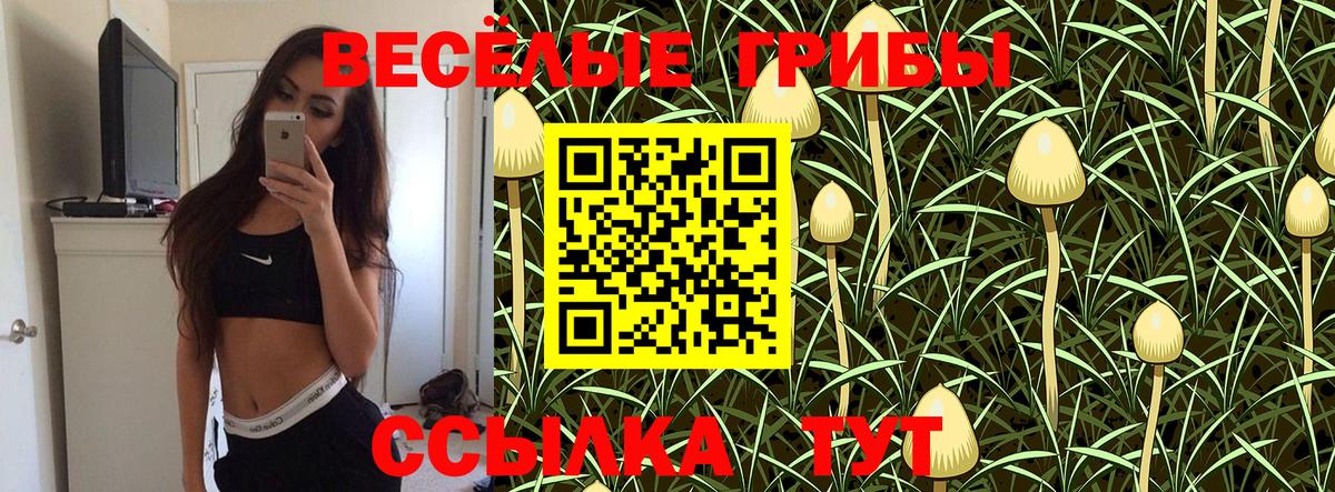 Электрогорск  Псилоцибиновые грибы GOLDEN TEACHER  Галлюциногенные грибы прущие грибы  Вход с VPN 